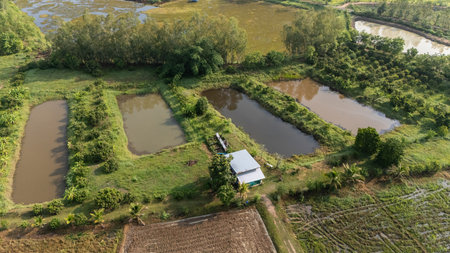 Aerial view of land prepare for planting or do agriculture in rural area of Thailand.の写真素材