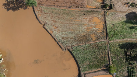 Aerial view of corn field damaged from flooded river.
