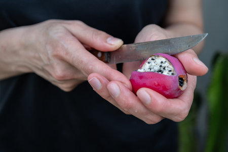 Someone using knife for cutting a fruit of Acanthocereus tetragonus cactus. The fruits are similar...