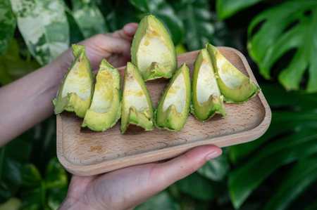 Cropped shot view of someone holding pieces of Avocado fruit. Avocado known for its heart-healthy...