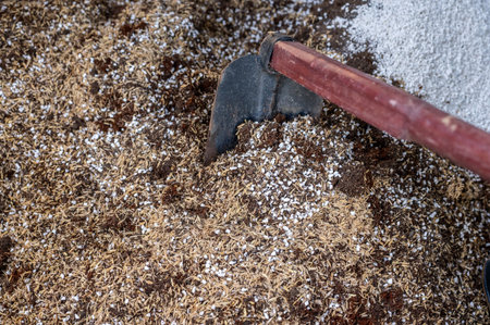 Gardener using a hoe for mix and blend coconut coir, rice husks, cow dung and Perlite for making potting soil. This soil is a soilless, man-made substrate specifically designed forの写真素材