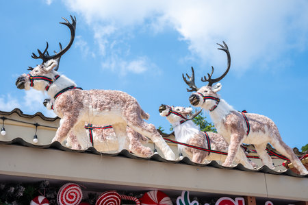 Reindeer decorations on the roof of house during Christmas festival.の写真素材
