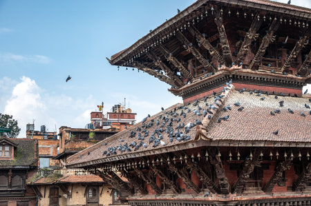 Pigeons living on the roof of ancient temple in Patan Durbar Square a former royal palace complex located in Kathmandu, Nepal.の写真素材