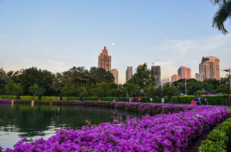 City and the park