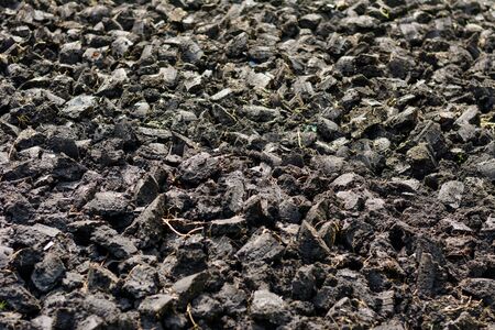 soil for plantの写真素材