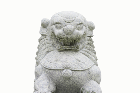 lion isolated on whiteの写真素材