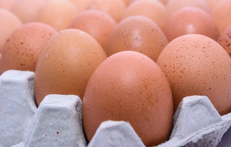Chicken Egg