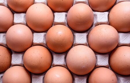 Chicken Eggの写真素材