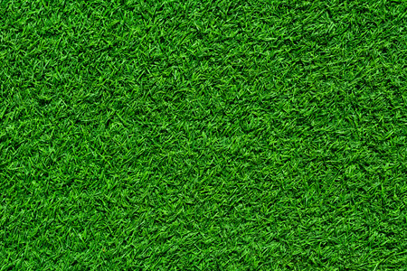 Green grass seamless texture.の写真素材