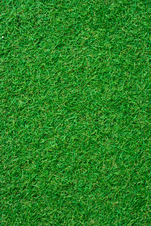 Green grass seamless texture.の写真素材