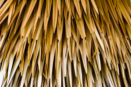 Dead leaves shot ideal for backgrounds and texturesの写真素材