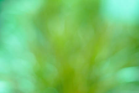 bokeh backgroundの写真素材