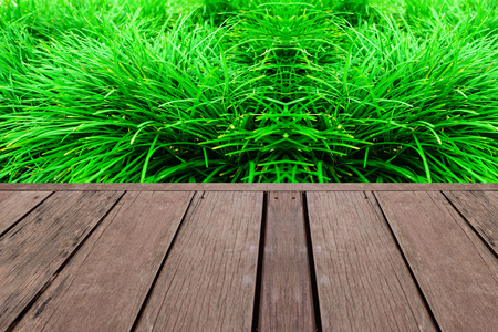 wooden board and green backgroundの写真素材