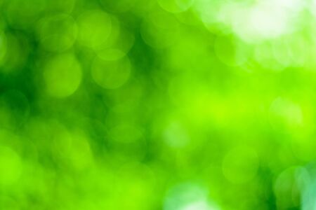 Bokeh backgroundの写真素材