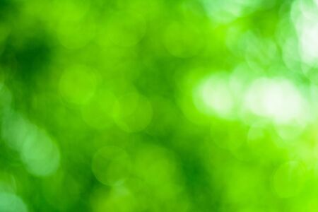 Bokeh backgroundの写真素材
