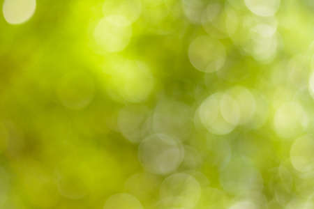 Bokeh backgroundの写真素材