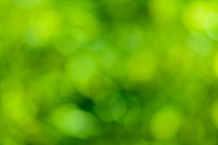 Bokeh backgroundの写真素材