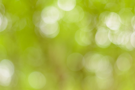 Bokeh backgroundの写真素材