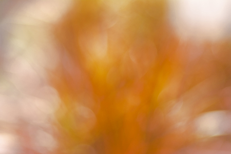 Bokeh backgroundの写真素材