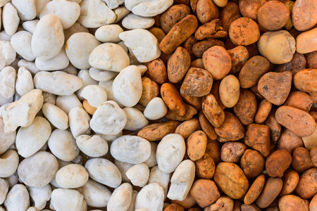 Lot of pebbles around big stoneの写真素材
