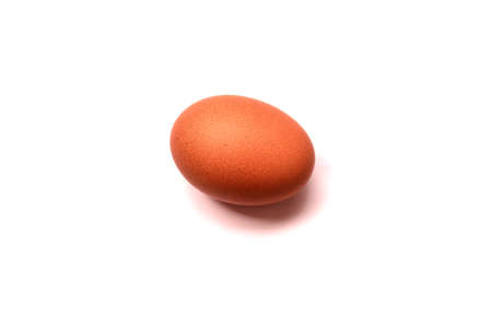 Fresh egg on white backgroundの写真素材
