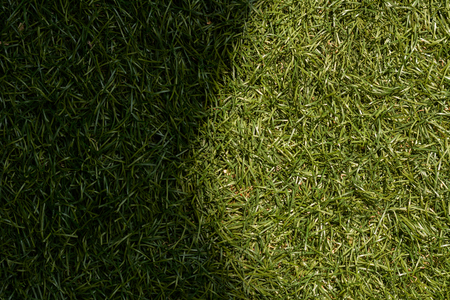 Green grass texture background, sunlight causes shadows.の写真素材
