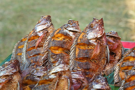 Cichlidae Tilapia,fish Fried.の写真素材