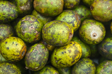 Hog plum Spondias mombin.の写真素材