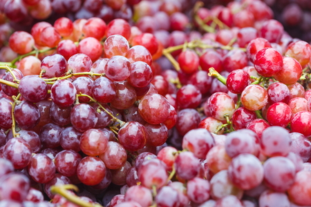 Red wine grapes background/ dark grapes, blue grapes , Red Grape Thai Market .の写真素材