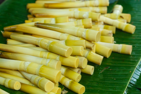 Bamboo shoots Thai Market.の写真素材