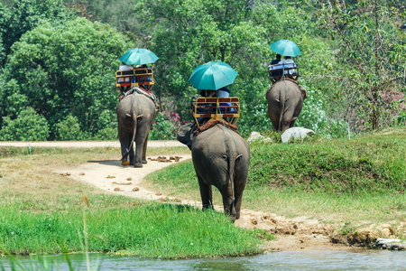 to ride an elephant,Tourists on an ride elephant tour,Lampang Training Center thailand,The Thai Elephant Conservation Center Lampang.の写真素材