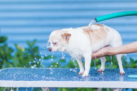 Electricians Wiring Cable repair services,worker in crane truck bucket fixes high voltage power transmission line,setting up the power line wire on electric power pole.の写真素材