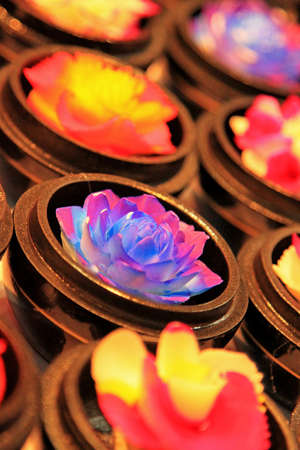 Flower Candelの写真素材