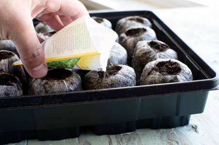 Starting vegetable seeds in peet pots