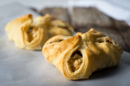 Savory vegetable pasty packets envelopesの写真素材