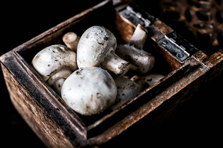 Wooden box of wild mushrooms organic fungusの写真素材