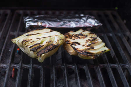 Fresh fennel root vegetable garden harvest healthy cookingの写真素材