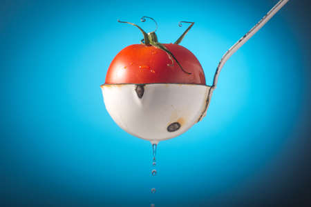 Fresh red garden tomtoes raw ingredient healthyの写真素材