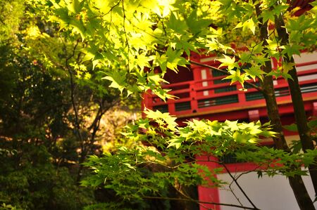 Temple and fall foliageのeditorial素材