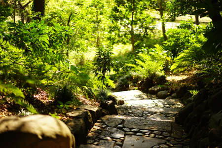 Fall Garden Roadの写真素材