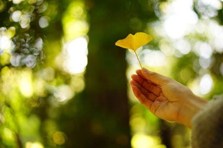 Women with a leaf of Ginkgo bilobaの写真素材