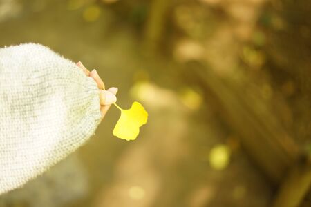 Women with a leaf of Ginkgo bilobaの写真素材