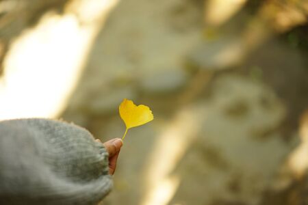 Women with a leaf of Ginkgo bilobaの写真素材