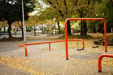 Playground equipment and leaves