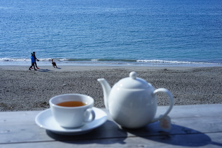 Drinking tea in a sea of Hayamaの写真素材