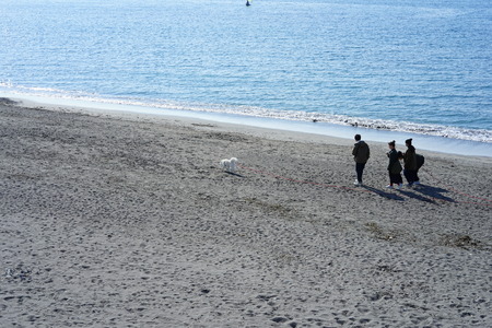 Seas in Hayamaのeditorial素材