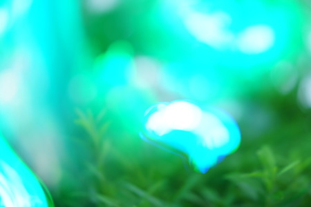 Green light illuminated on the trees