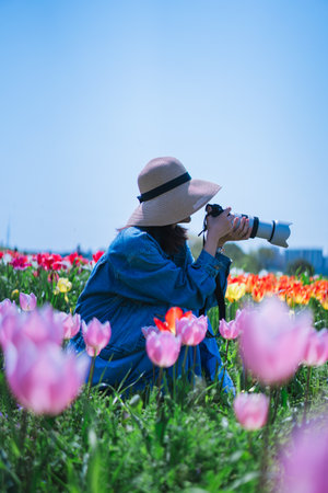 Woman taking photo with camera in tulip flower field in spring.