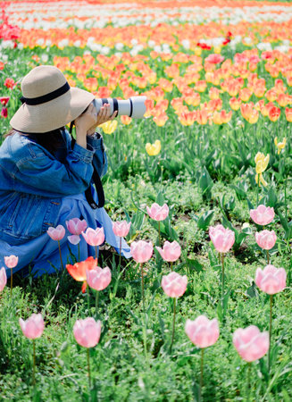 Woman taking photo with binoculars in the tulip field.の写真素材