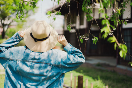 Woman wearing straw hat and blue denim jacket standing in front of blooming cherry tree.の写真素材